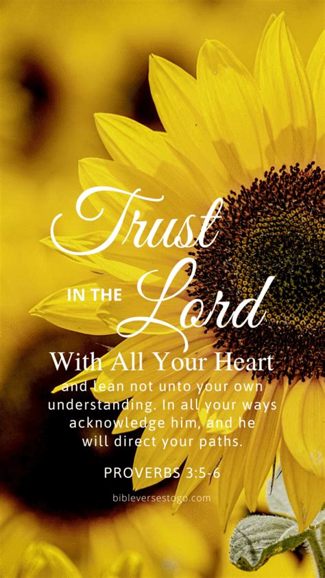 Sunflower Proverbs 3 5 6 Bible Verse Background Flower Bible Verse