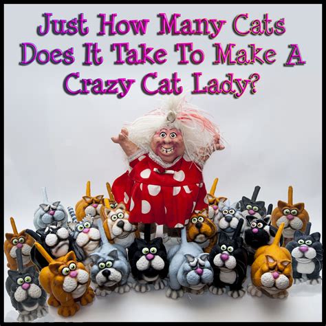 Crazy Cat Lady Meme Google Search Crazy Cat Lady Meme Crazy Cat