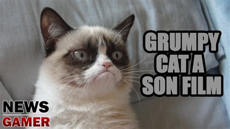 Grumpy Cat A Son Film News Gamer 157 Youtube