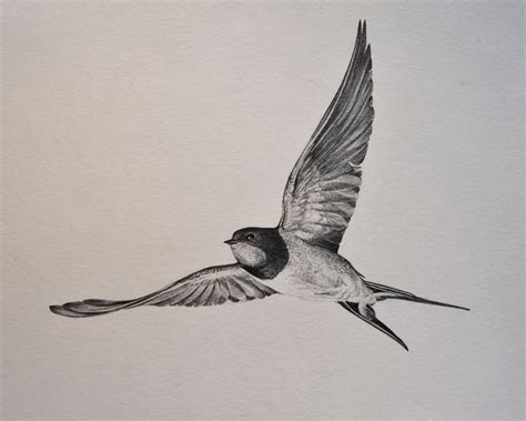 So be sure to check out this video and my other hundreds of videos to learn this beautiful art form. swallow tattoo realism | Tea and/or Cake: Birds | Barn ...