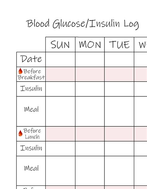 Type 1 Diabetes Blood Sugar Log Blood Glucose Insulin Etsy