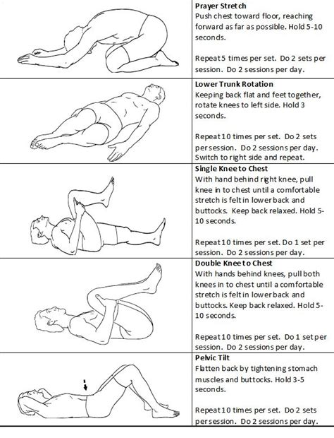 Printable Exercises For Lower Back Pain