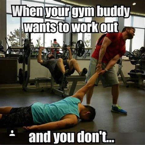 Funny Pictures Of The Day 40 Pics Daily Lol Pics Workout Memes