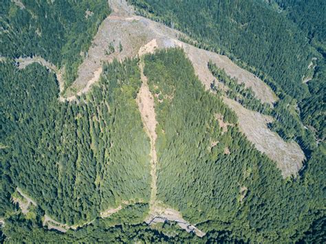 He directs the center's efforts to protect new species under the endangered species act, to ensure that imperiled species receive effective protections and that we have the strongest endangered species act possible. Oregon Department of Forestry Drops Two Timber Sales ...