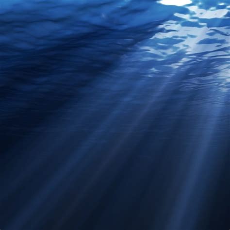 10 Latest Deep Sea Desktop Backgrounds Full Hd 1080p For