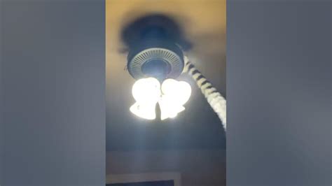 Ninja Lemur Attacking The Ceiling Fan Youtube