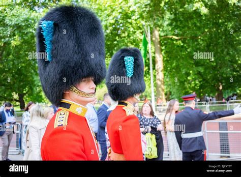 Two Guardsmen Wearing Busby Hats And Ceremonial Uniform The Grenadier