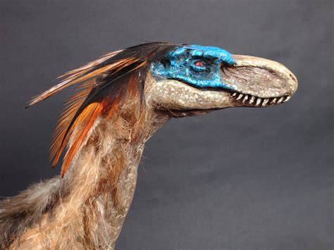 Velociraptor Mongoliensis Sculpture With Real Feathers — Stan
