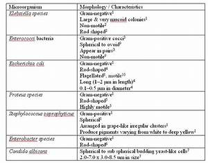 Medical Microbiology Morphology And Characteristics Of