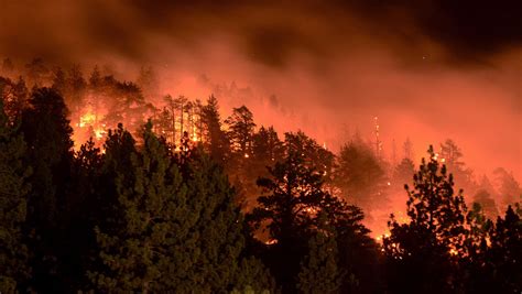 Scorched Earth Us Wildfires Near Record Level