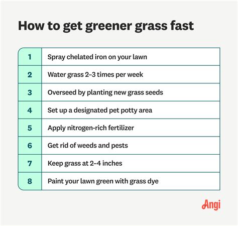 How To Make Grass Green Fast