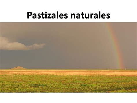 Ppt Pastizales Naturales Powerpoint Presentation Free Download Id2299216