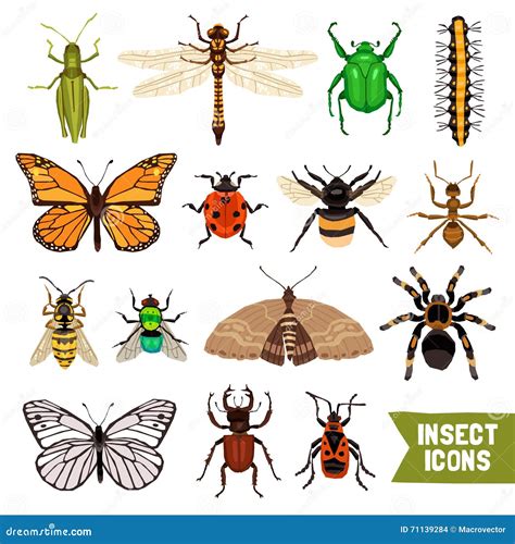Insects Set Icons In Cartoon Style Big Collection Of Insects Vector Symbol Stock Illustration