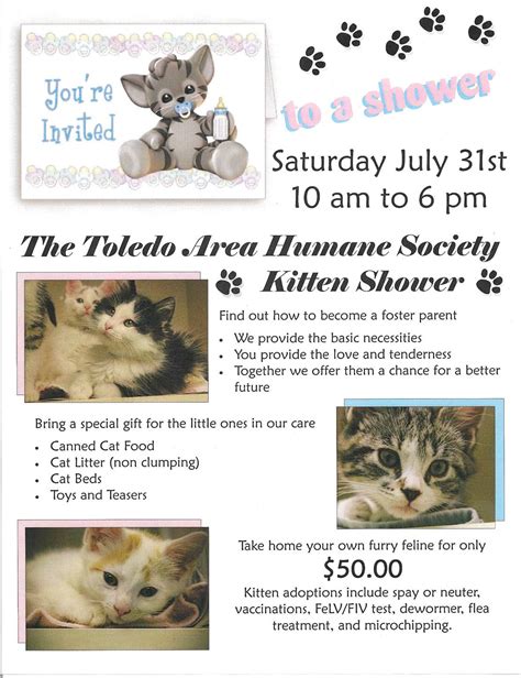 Pets Toledo Area Humane Society Event Kitten Shower