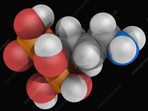 Alendronic Acid Drug Molecule Stock Image F0048229 Science Photo
