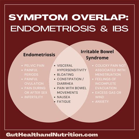Endometriosis And Ibs Connecting The Dots Gut Health And Nutrition