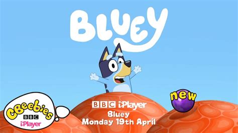 Bluey Official Trail Cbeebies Youtube