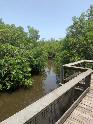 Best Hikes And Trails In Saint Lucie Inlet Preserve State Park Alltrails