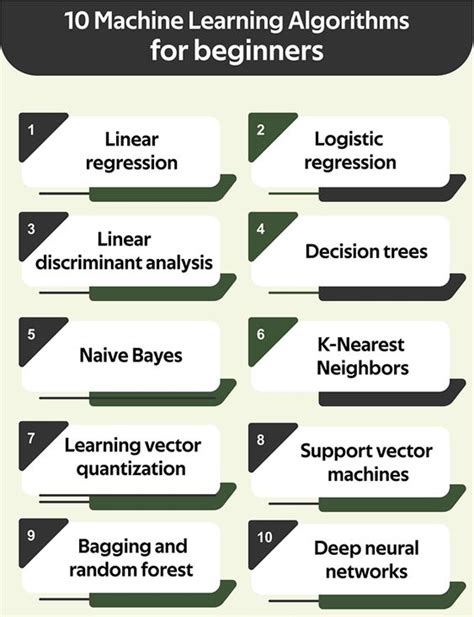 Top Machine Learning Algorithms For Beginners Studying
