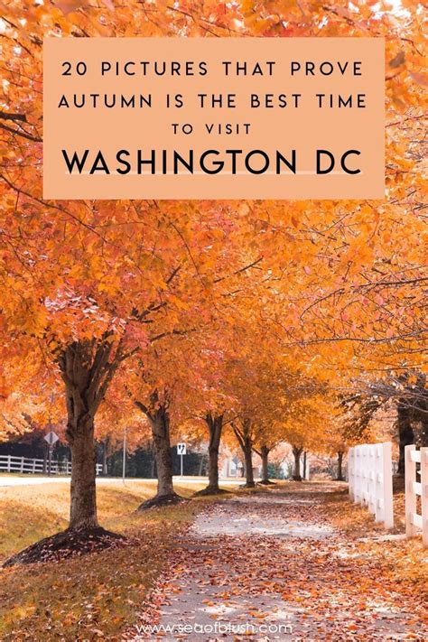 5 Places To See Beautiful Fall Foliage In The Washington Dc Area
