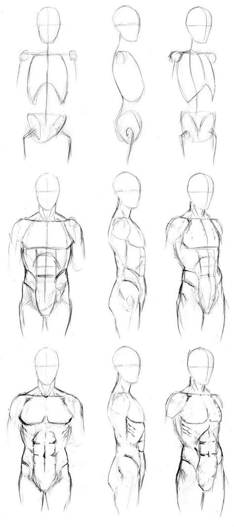 Learning To Draw Human Body Basic Body Drawing Body Drawing Body