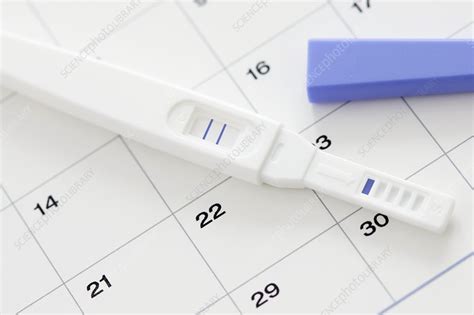 Pregnancy Test Showing Positive Result And Calendar Stock Image