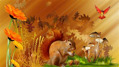 Autumn Squirrel Country Hd Desktop Wallpaper Widescreen High