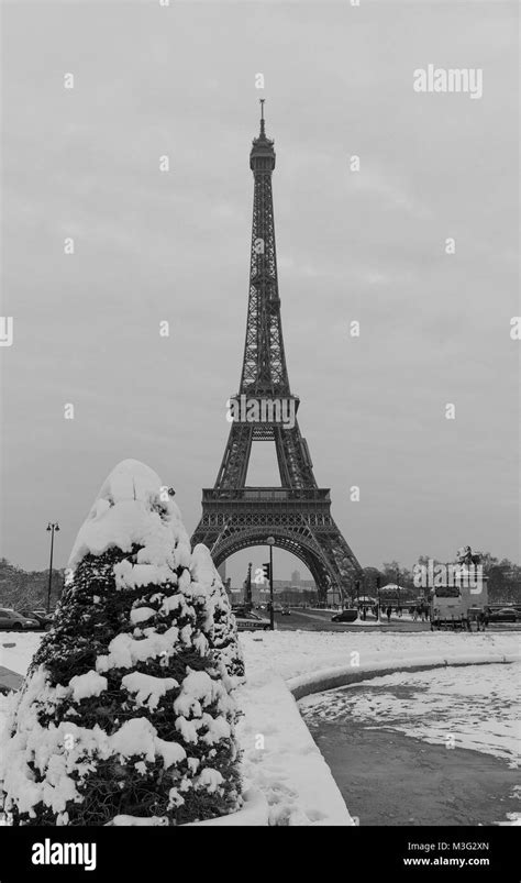 Eiffel Tower And Pine Tree Under The Snow In Winter Paris Stock Photo