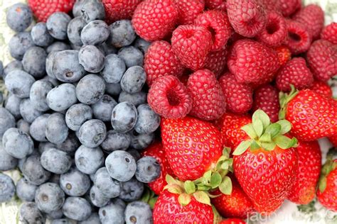 Owoce jagodowe redukują możliwość wystąpienia cukrzycy i innych chorób - Jagodnik