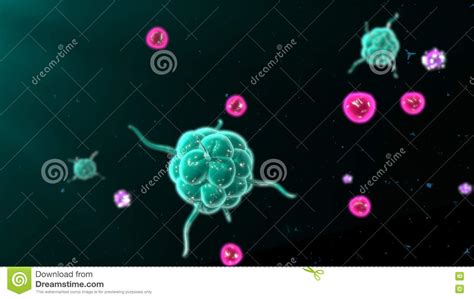 Activerende T Cellen En B Cellen In Immuunsysteem Stock Foto Image Of