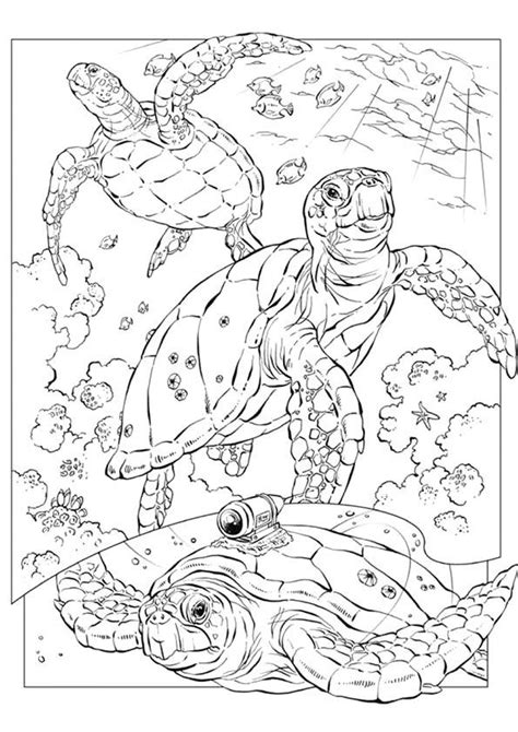 Turtle Coloring Pages Printable Adult Coloring Pages Adult Coloring