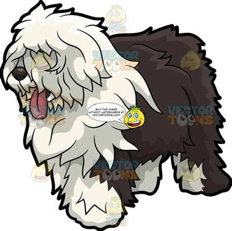 Shaggy Sheepdog Cartoon Sheepdog Shaggy Dog Cartoon Illustration