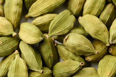 The Ultimate Guide To Crafting A Profitable Cardamom Farming Business