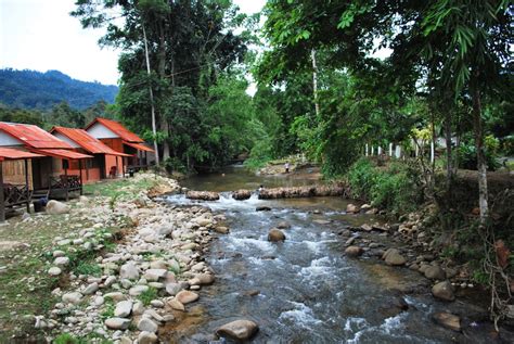 Maninjau chalet ⭐ , malaysia, pahang, janda baik, kampung: Janda Baik Pahang: D' River Resort
