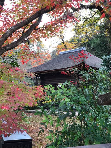 Miyajima In Autumn Adventures After Sixty