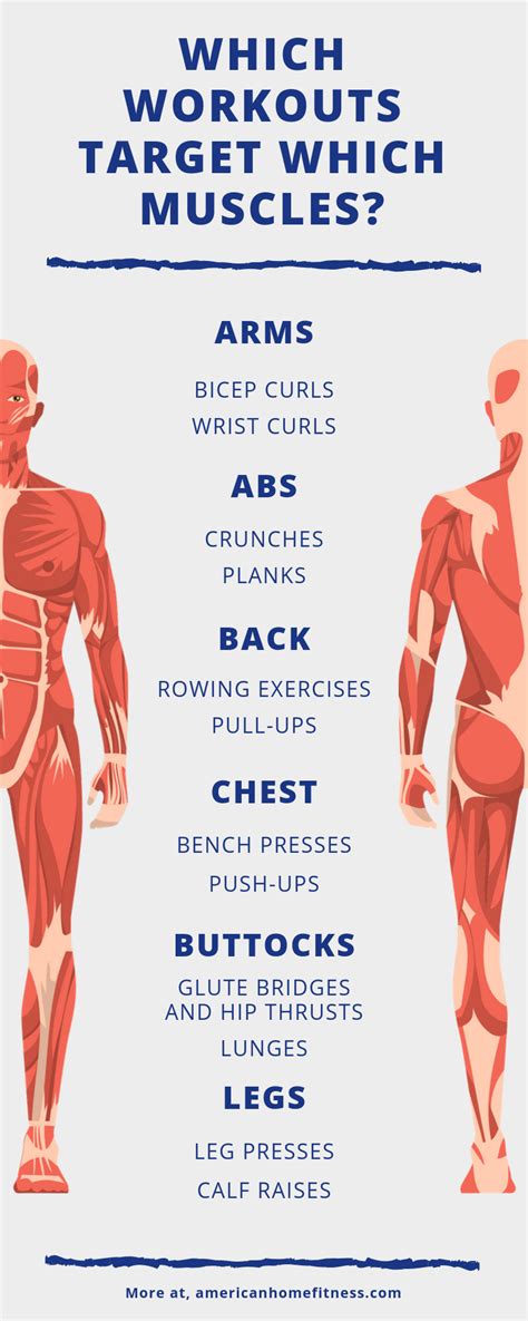 Which Workouts Target Which Muscles