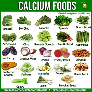 Most books that tout the alkaline diet say. Healthy Calcium Sources | Foods with calcium, Calcium rich ...
