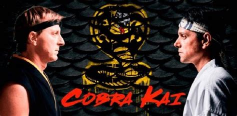 The most common netflix cobra kai material is ceramic. Cobra Kai Season 3 Expected Release Date, Cast, Plot, And ...