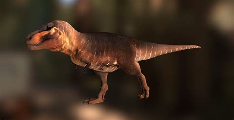 Artstation Tyrannosaurus Rex 3d Model And Animation