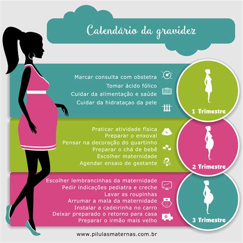 Calendário Da Gestação Pílulas Maternas