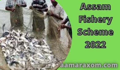 Assam Fishery Scheme 2022 Details Apply Aamar Axom