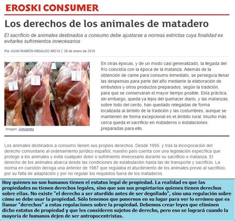 Álbumes 92 Foto Infografia De Los Derechos De Los Animales Lleno