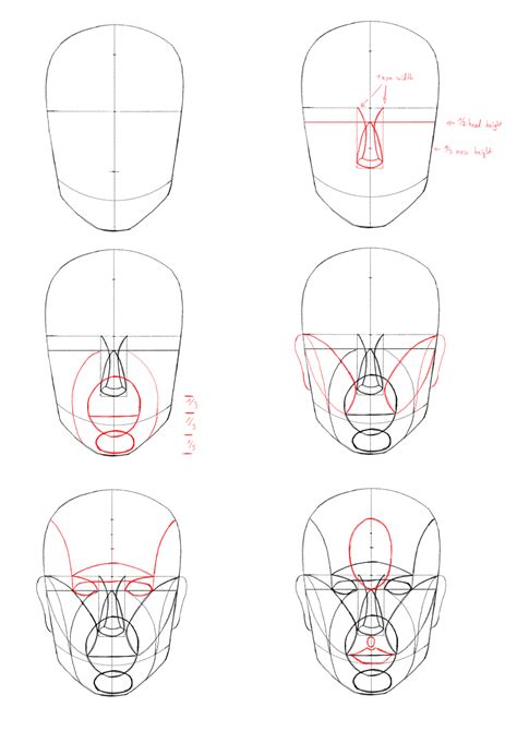 Human Face Sketch Drawing The Human Head Drawing Heads Human Anatomy