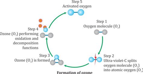 Explain Ozone Oxygen Cycle Thanks 11372