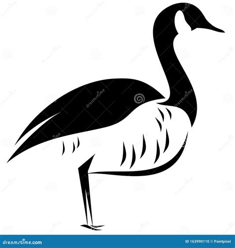 Canada Goose Standing Stock Vector Illustration Of Waterfowl 163990110