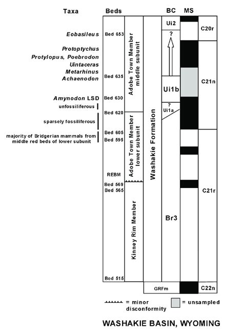 Schematic Stratigraphic Column Of Washakie Formation Washakie Basin