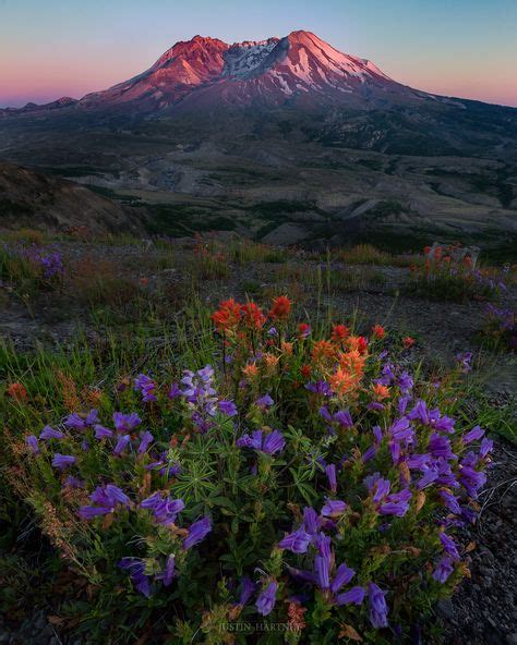 Pin By Erna Jaksic On Nature Wild Flowers Landscape Photographers World