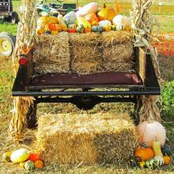 Pumpkins And Squash Pack Farms