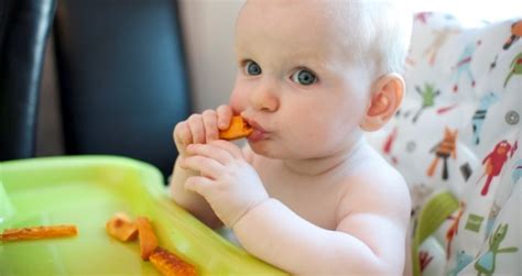 Baby Led Weaning En Que Consiste La Alimentación Complementaria