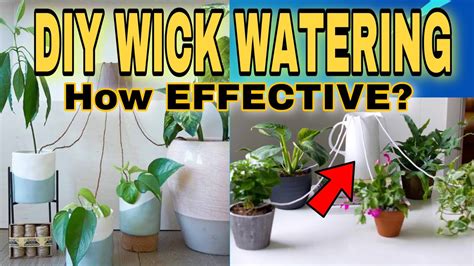 Homemade Wick Watering System For Potted Plants My Journey On How To